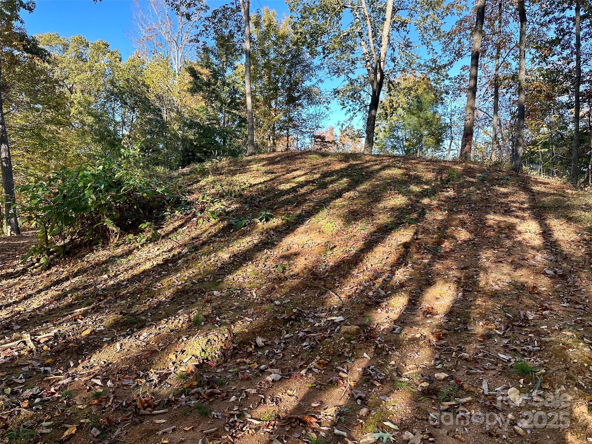 534 Cicada Drive Property Photo 9