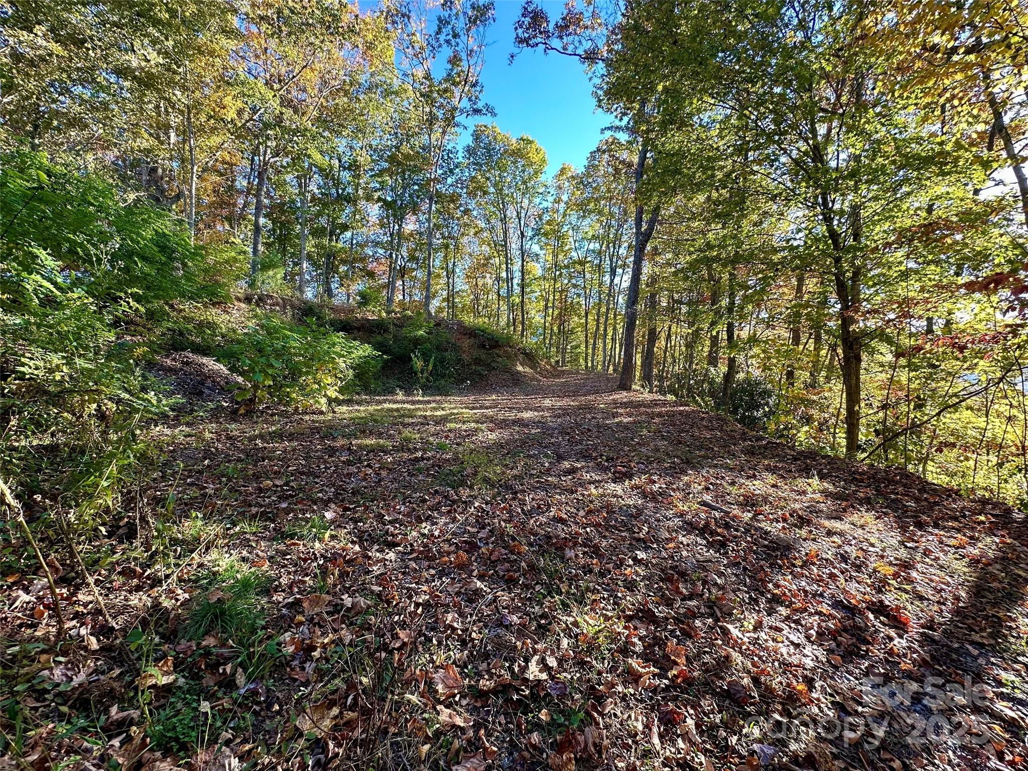 534 Cicada Drive Property Photo 12
