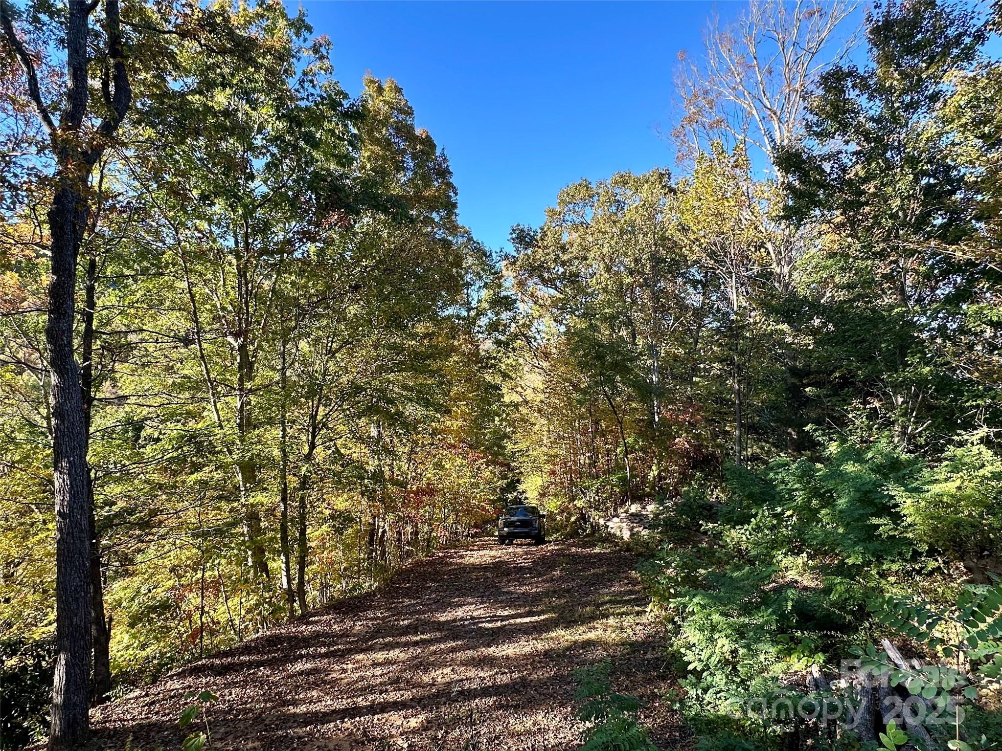 534 Cicada Drive Property Photo 16