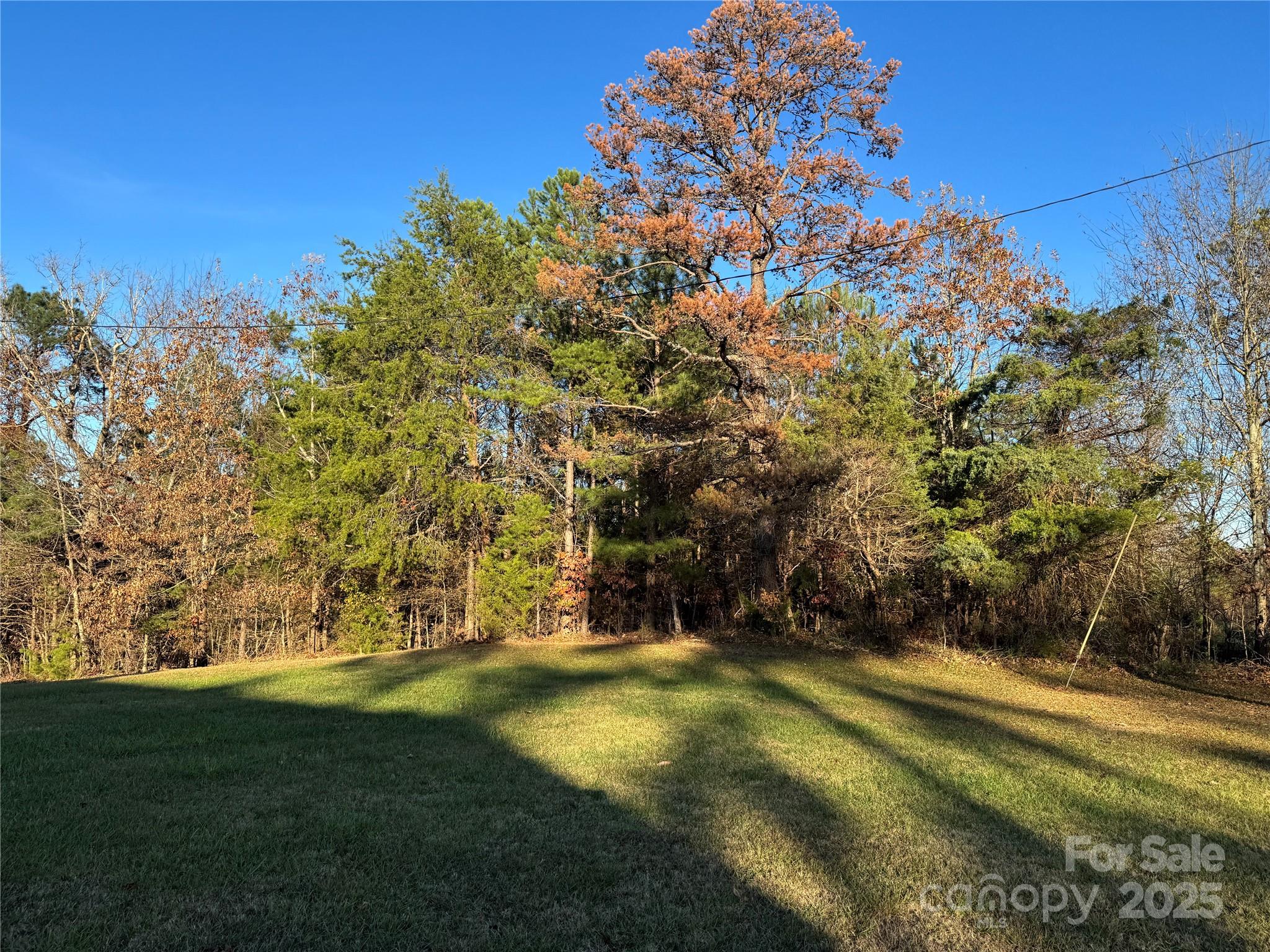 0 Bradley Road Property Photo 7