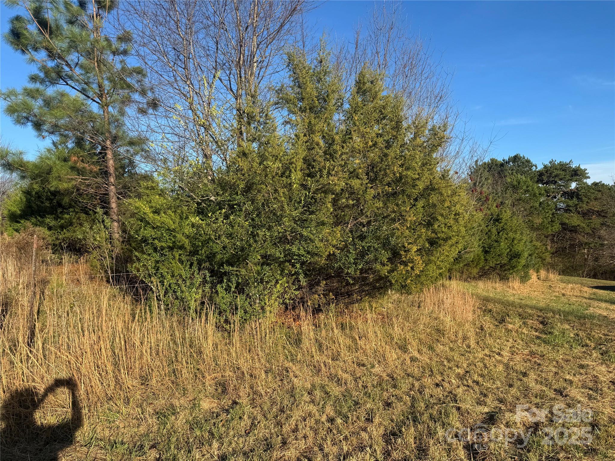 0 Bradley Road Property Photo 8