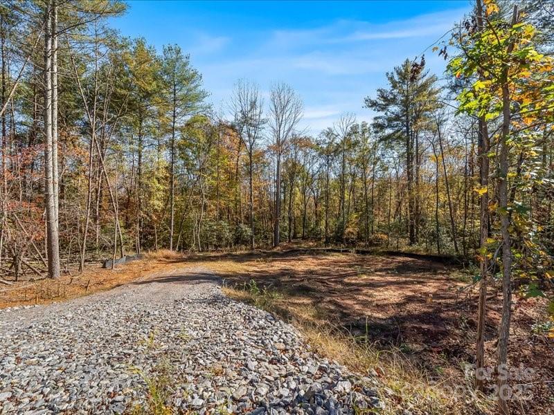 304 Winding Creek Drive Property Photo 2