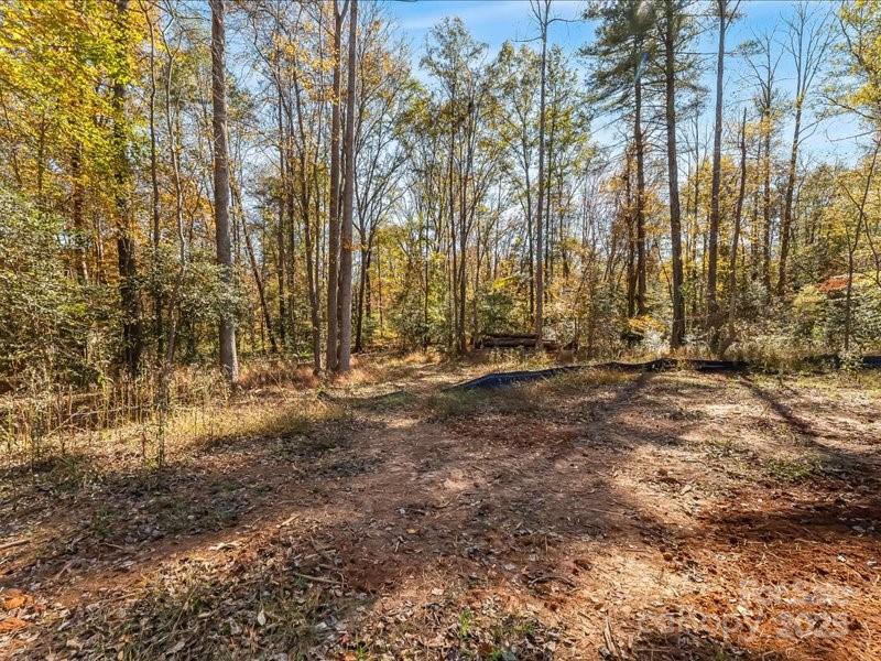 304 Winding Creek Drive Property Photo 3