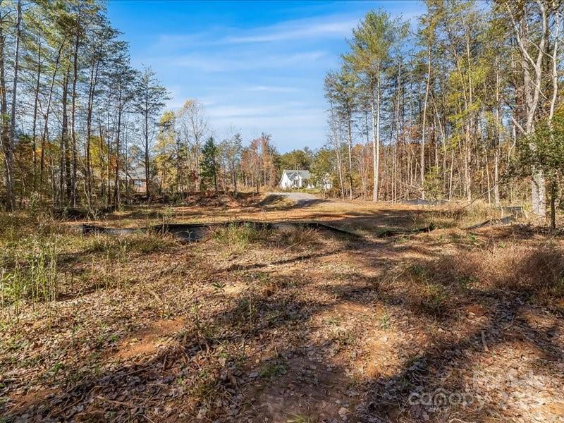 304 Winding Creek Drive Property Photo 4