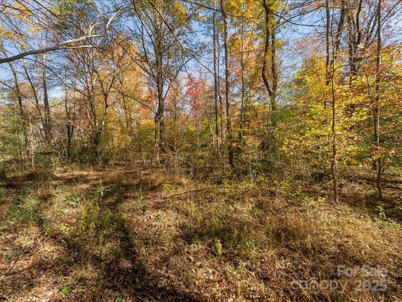 304 Winding Creek Drive Property Photo 6