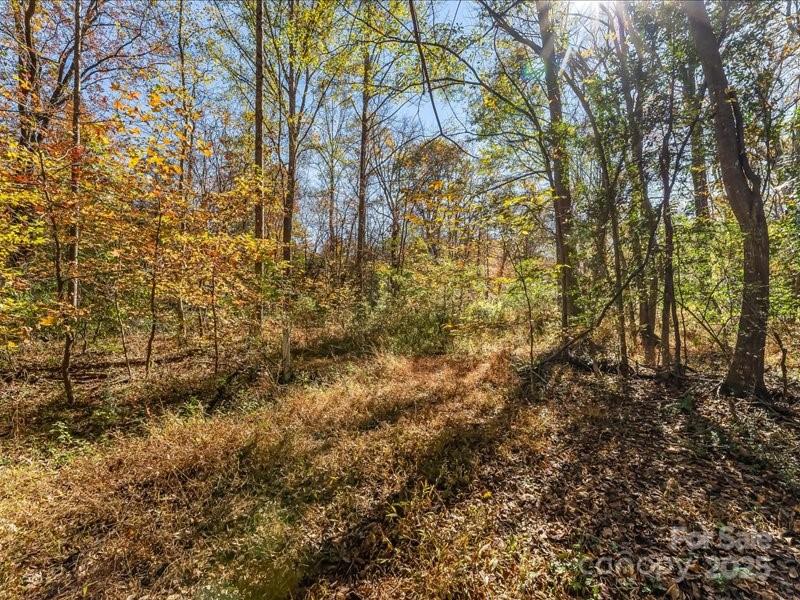 304 Winding Creek Drive Property Photo 7