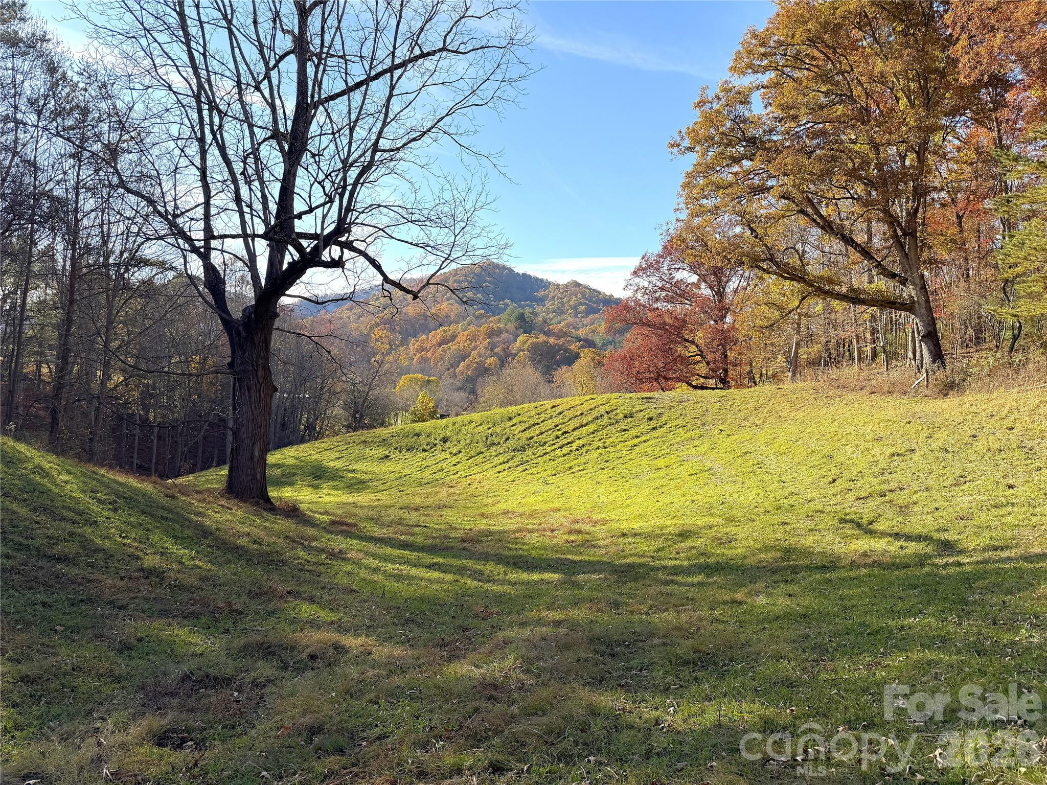 99 Thistle Ridge Property Photo 40