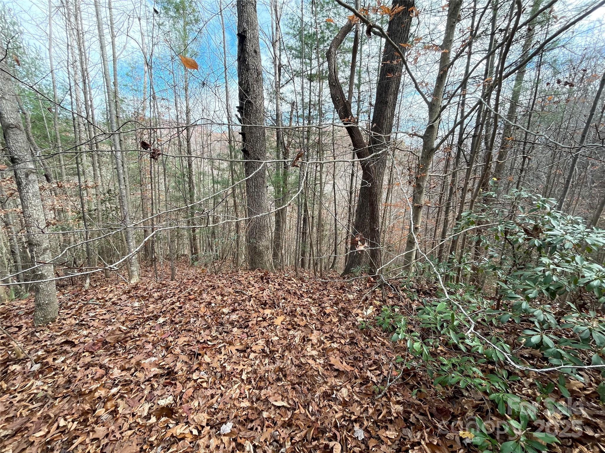 3308 Valley Drive Property Photo 4