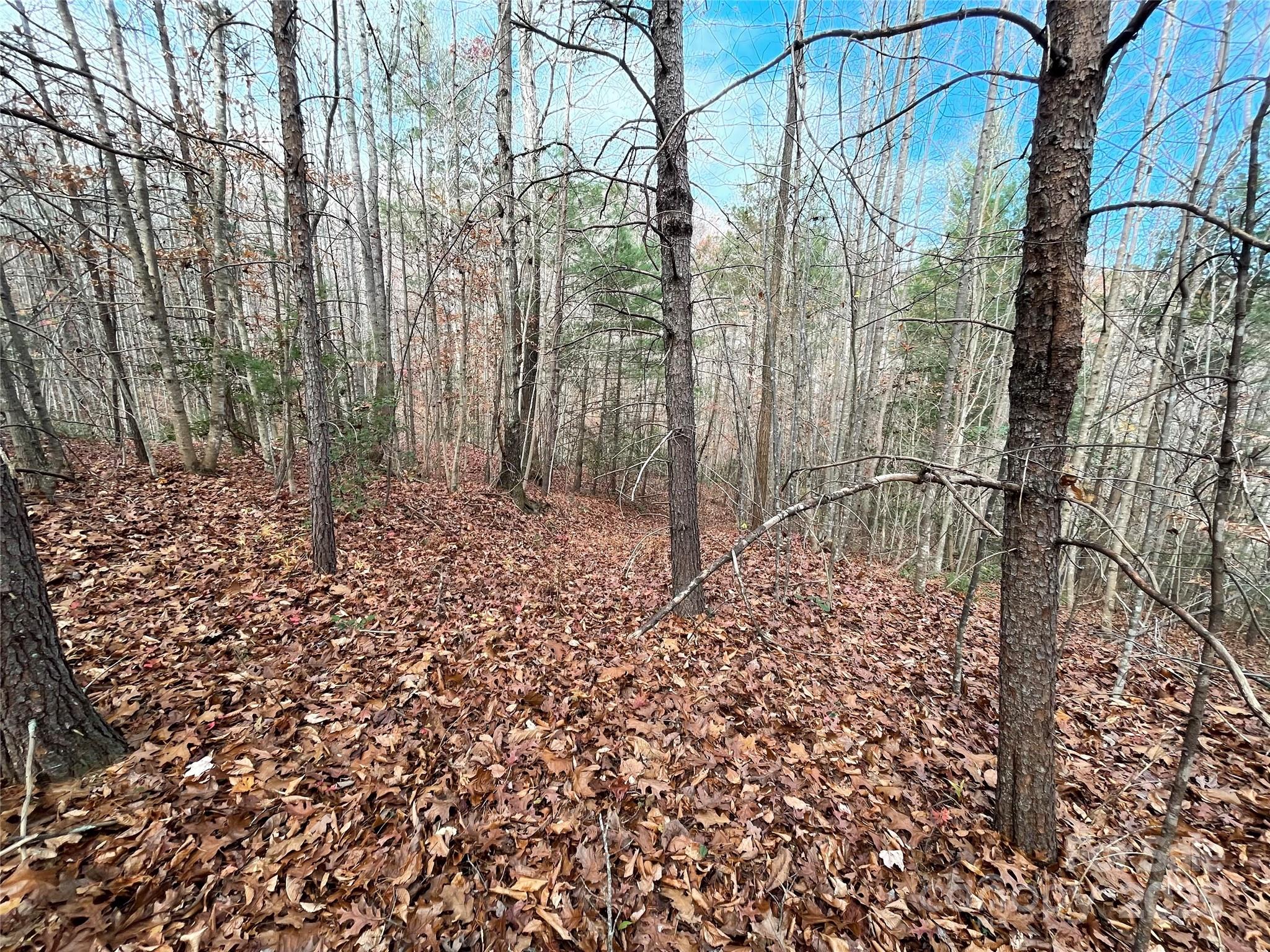 3308 Valley Drive Property Photo 5