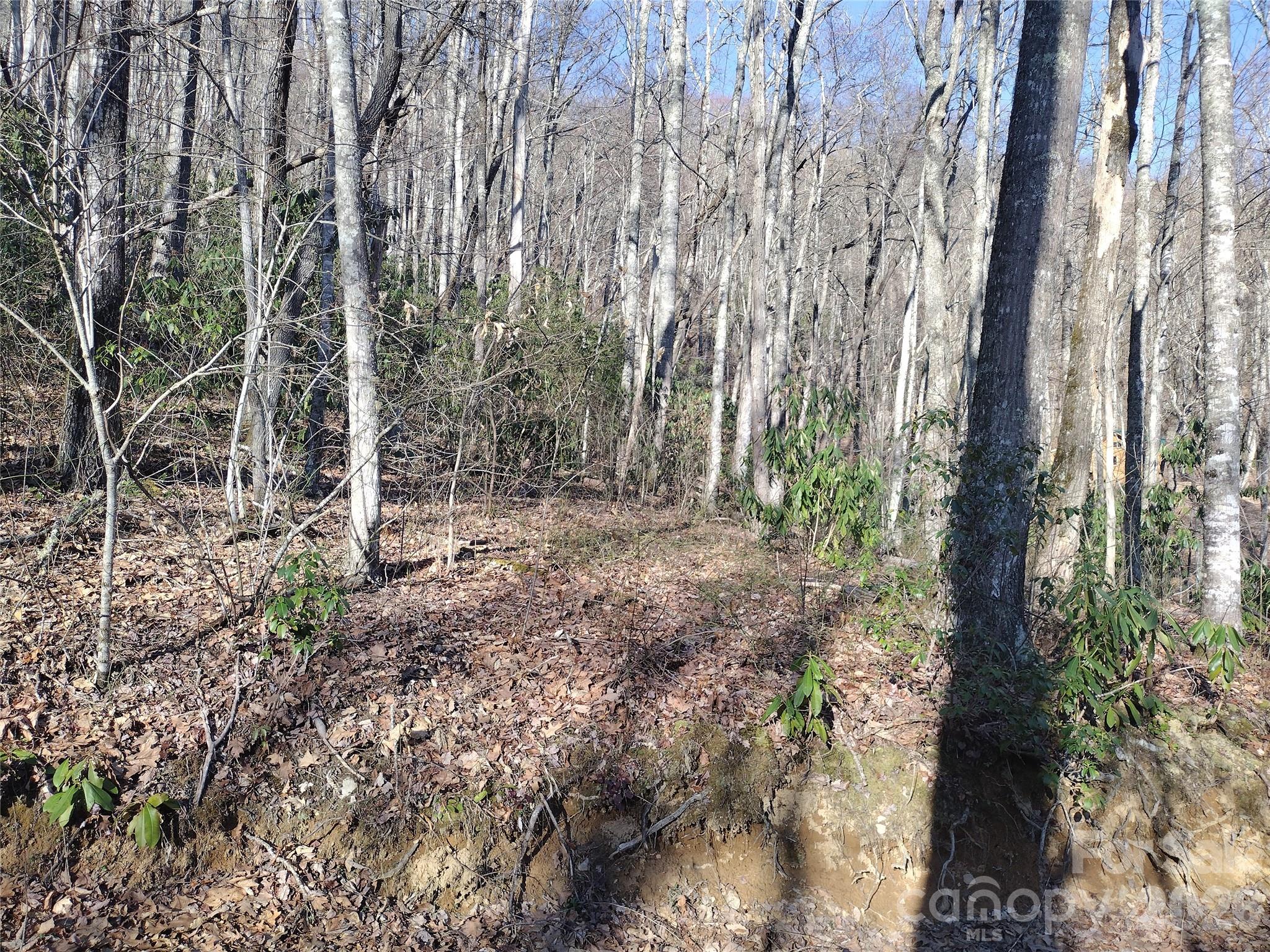 241 Bloom Trail Property Photo 12