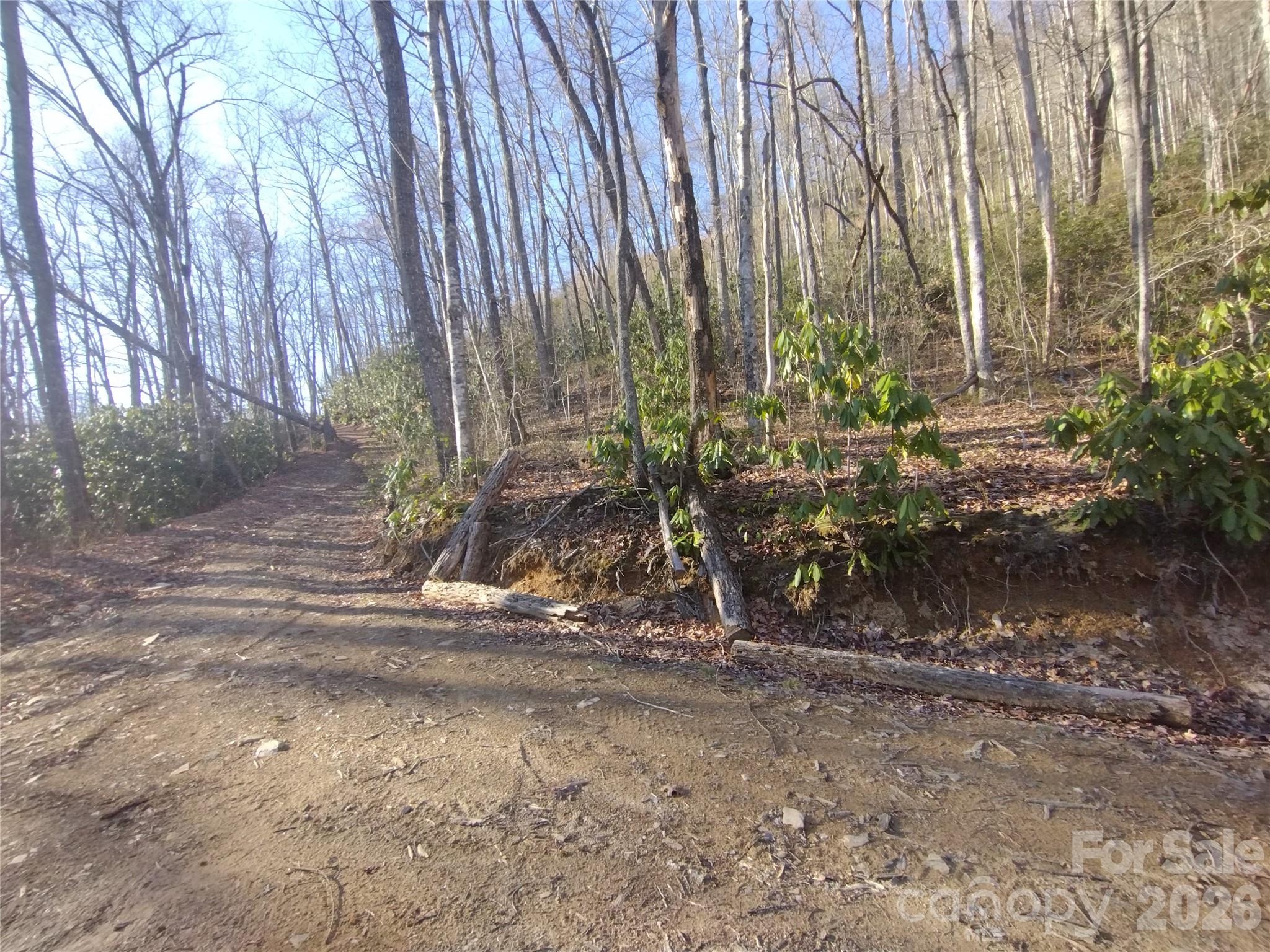 241 Bloom Trail Property Photo 15