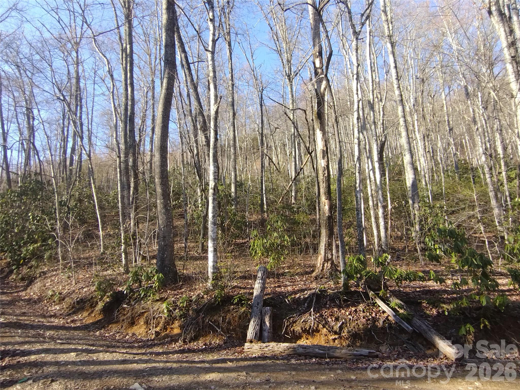 241 Bloom Trail Property Photo 16