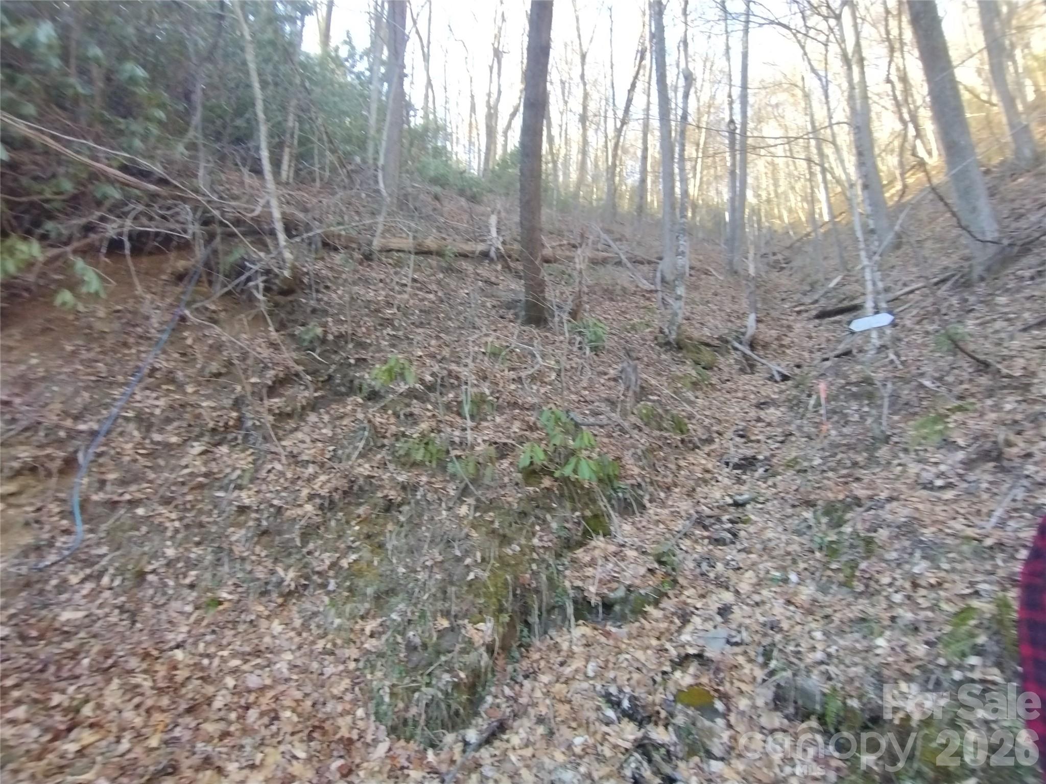 241 Bloom Trail Property Photo 19