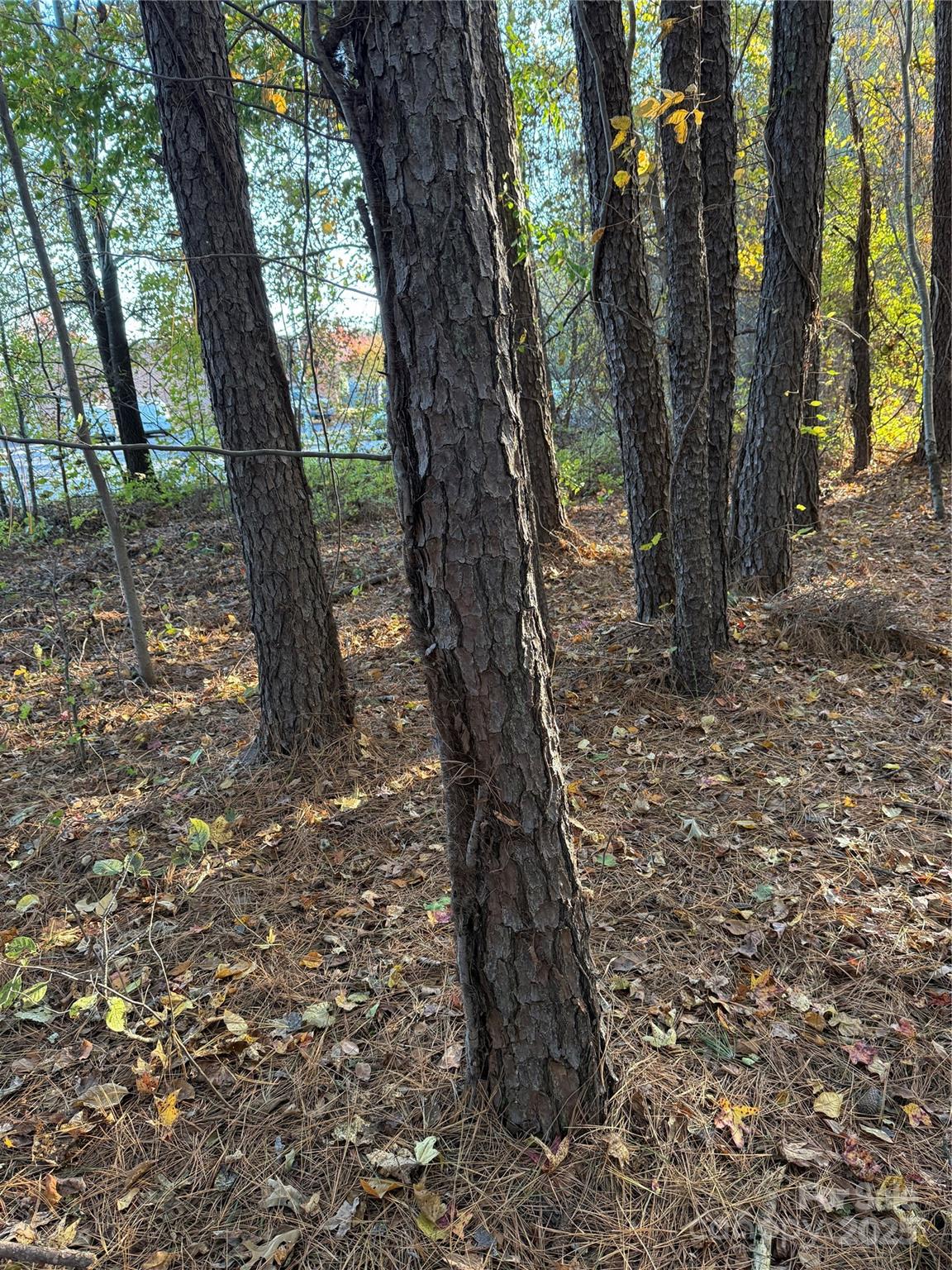 141 & 145 State Avenue Property Photo 22