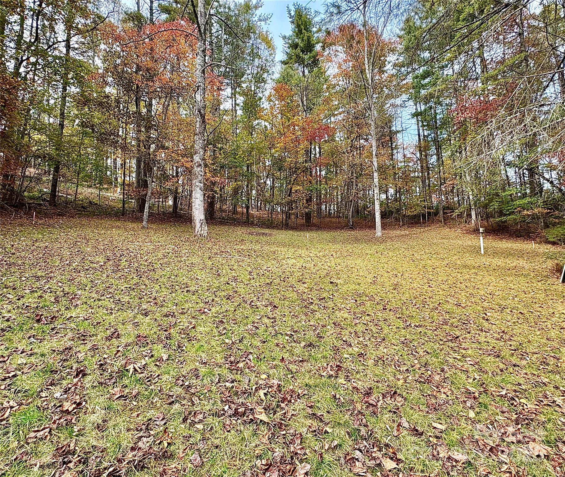 875 Carson Creek Road Property Photo 8