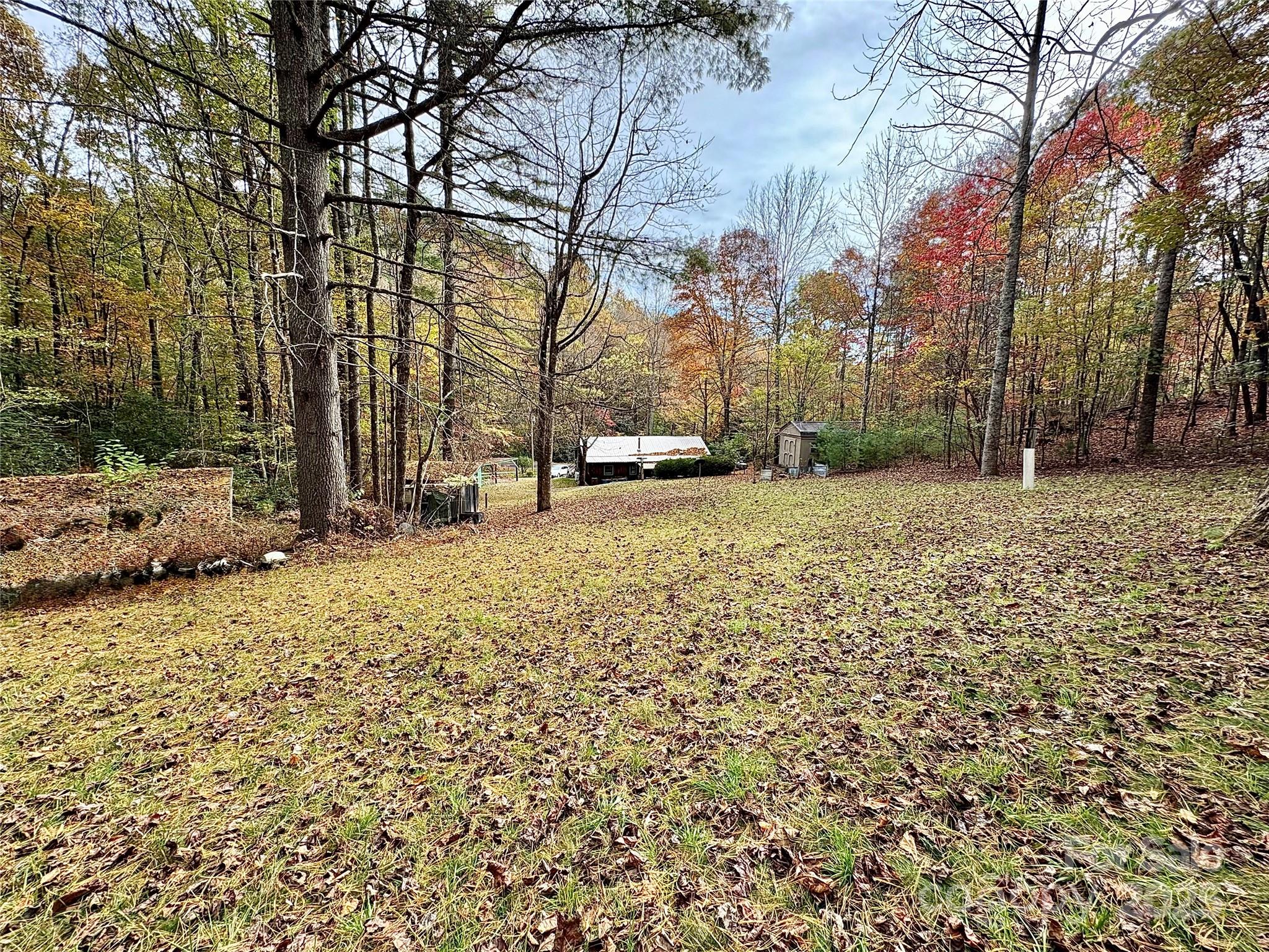 875 Carson Creek Road Property Photo 9