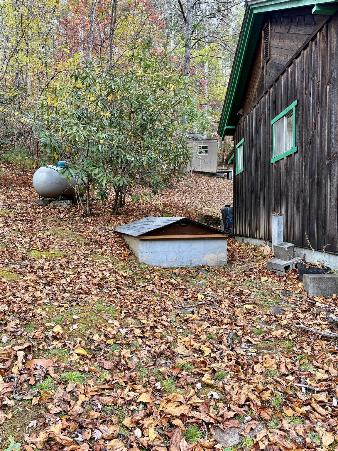 875 Carson Creek Road Property Photo 13