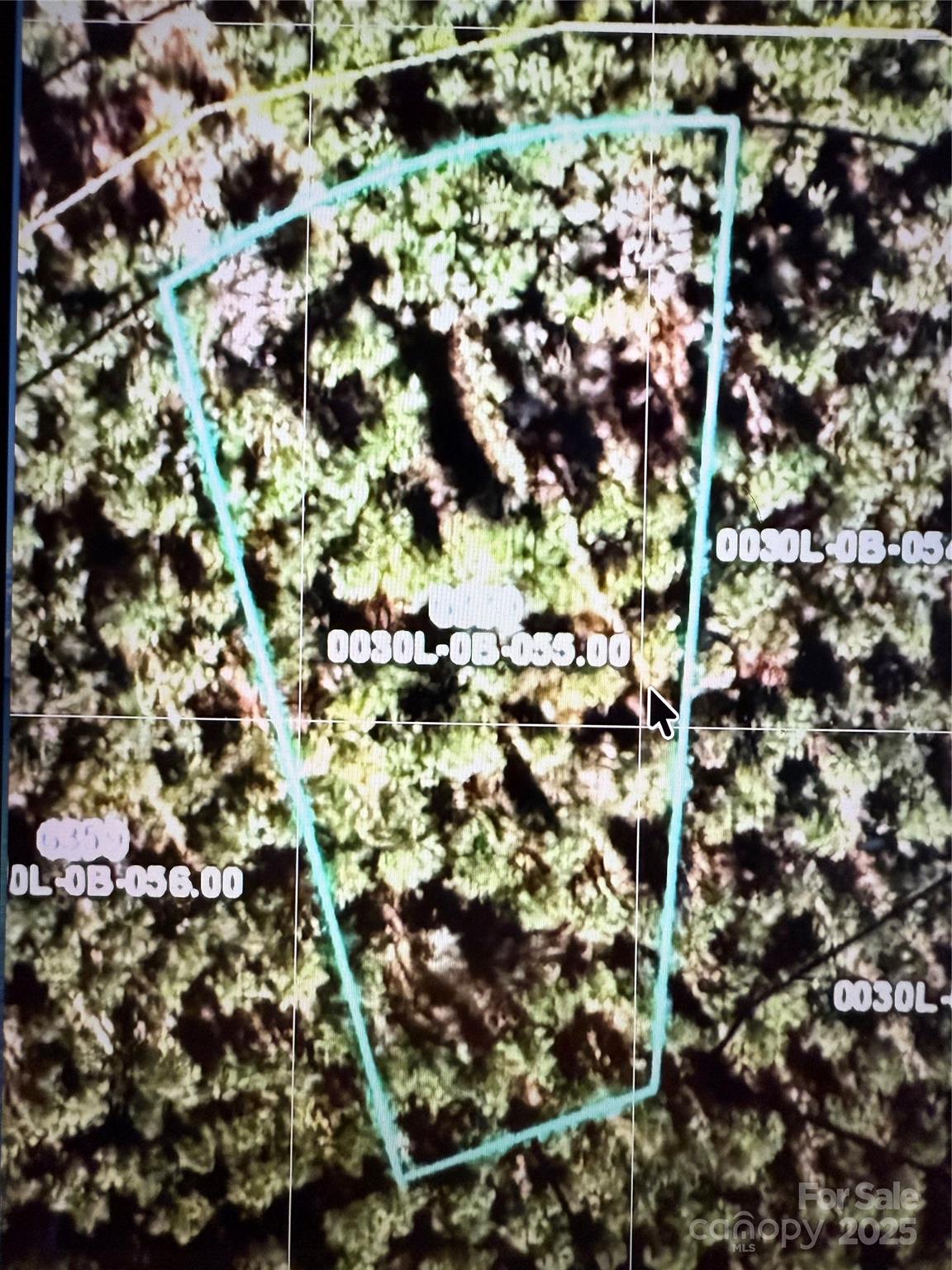 6339 Chimney Bluff Road Property Photo 1