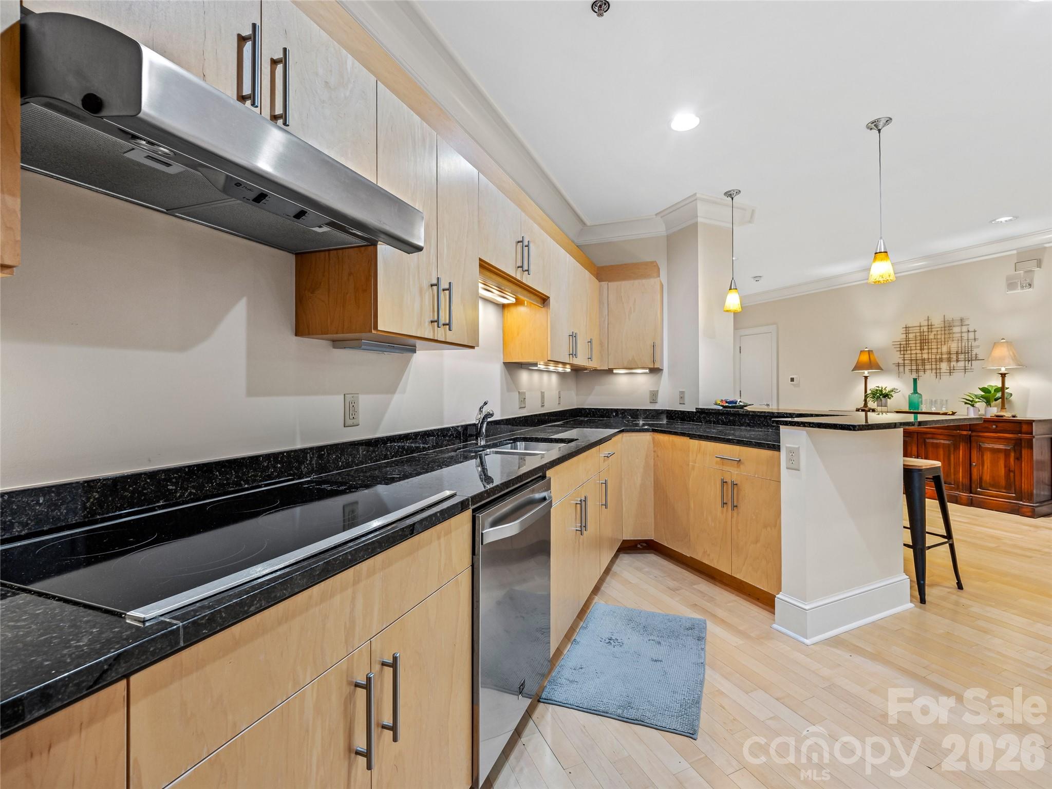 21 Battery Park Avenue 308 Property Photo 6