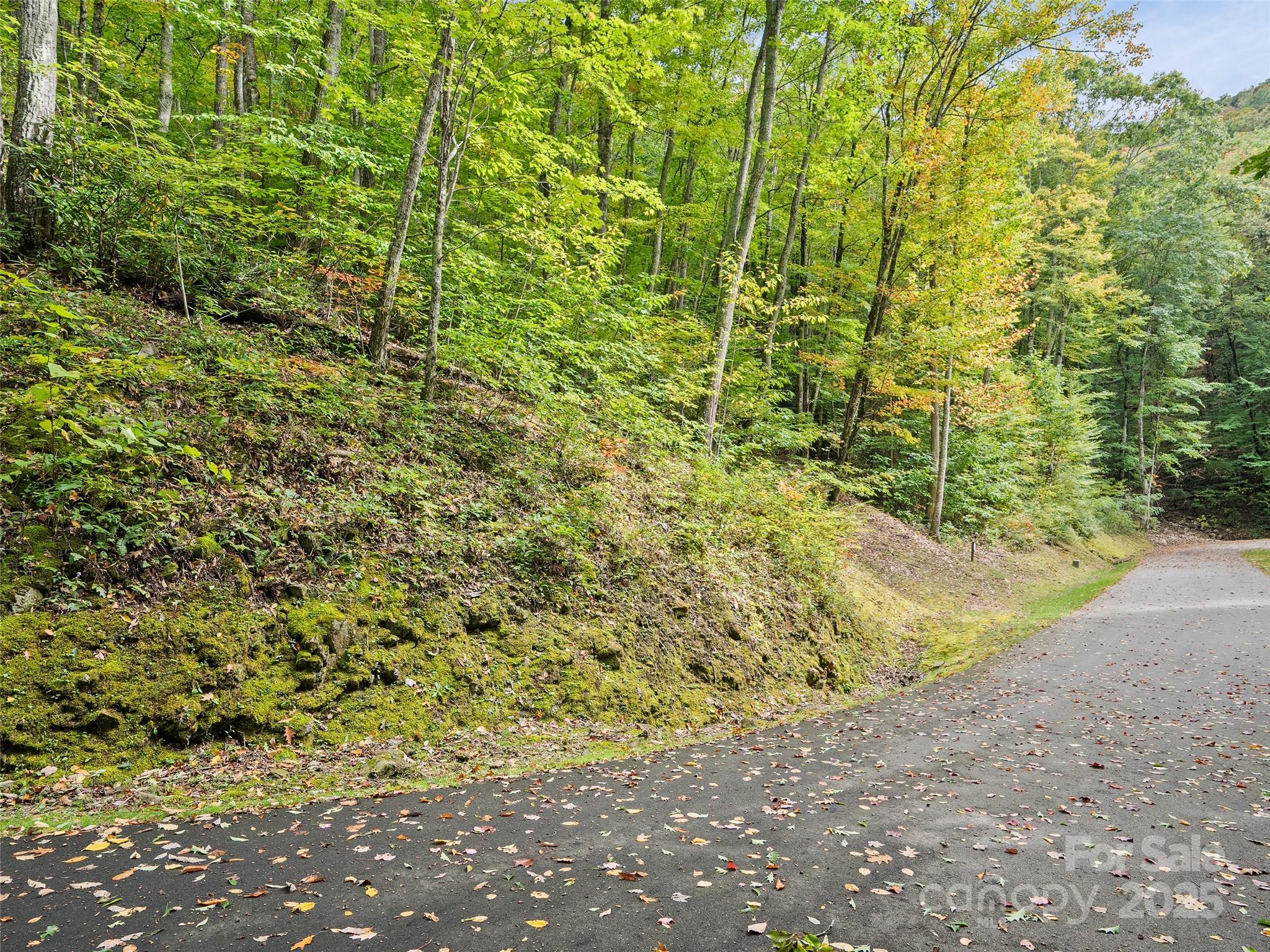 Lot 23 Finlaystone Trace Property Photo 2