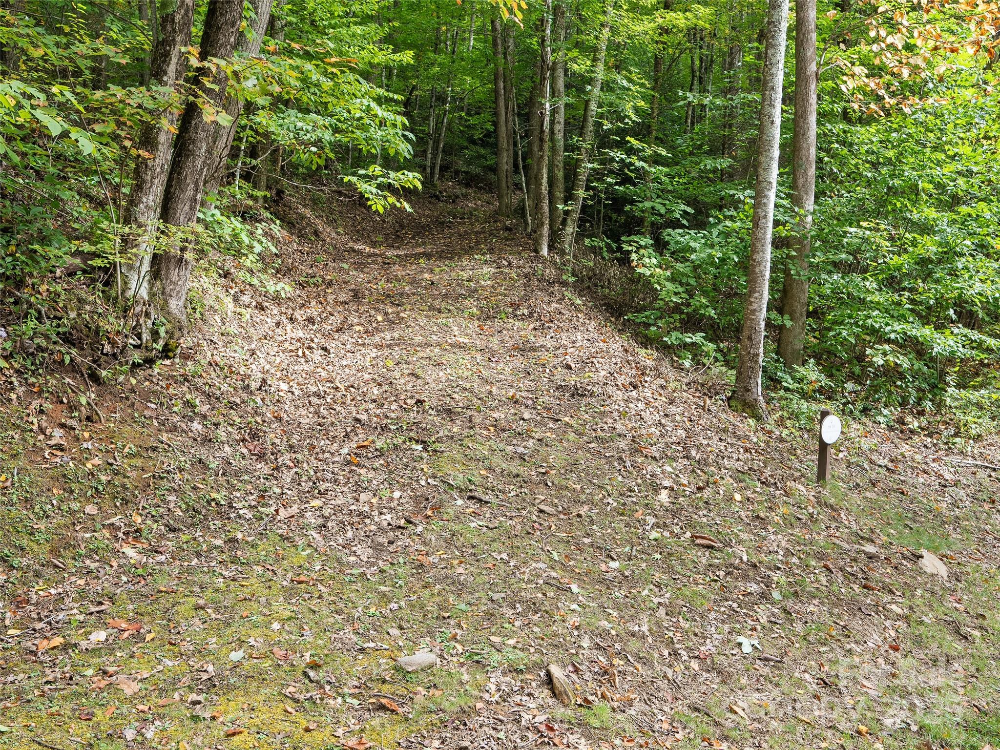 Lot 23 Finlaystone Trace Property Photo 3
