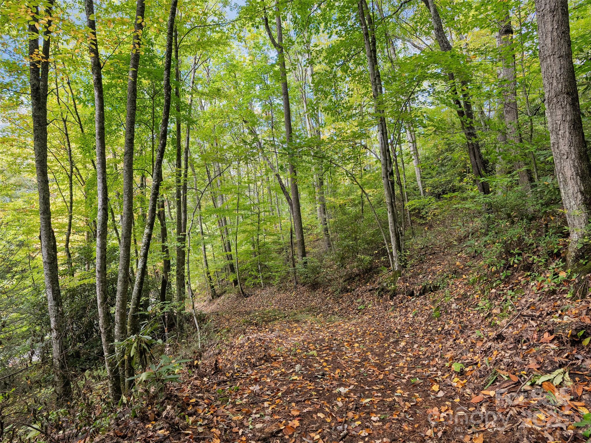 Lot 23 Finlaystone Trace Property Photo 4