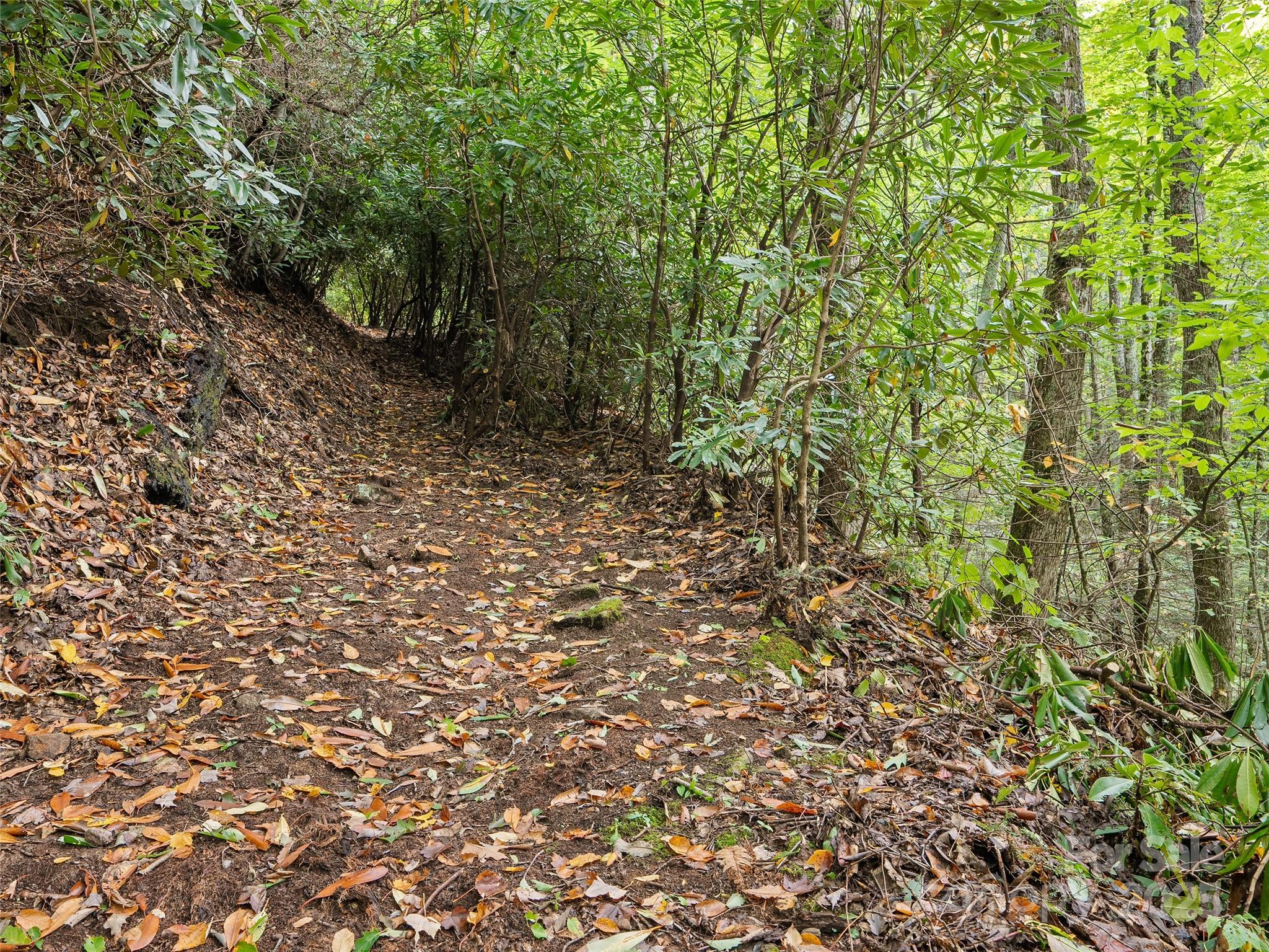 Lot 23 Finlaystone Trace Property Photo 5