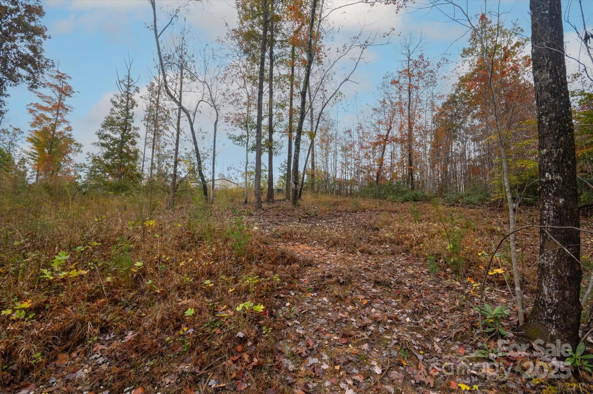 269 Mooseheart Road Property Photo 2