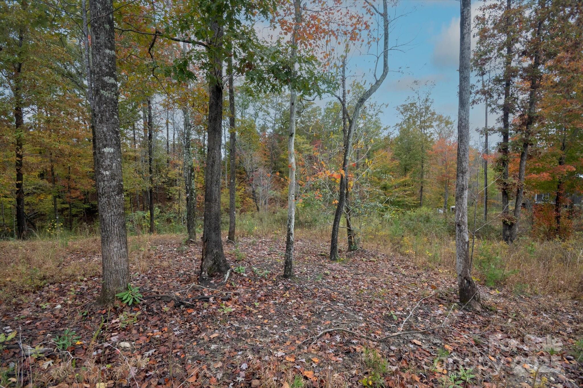 269 Mooseheart Road Property Photo 6