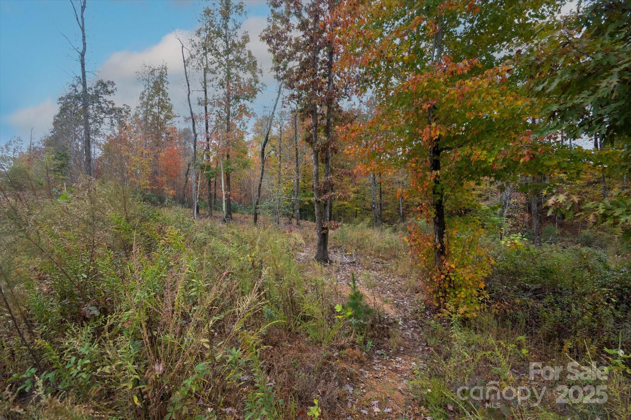 269 Mooseheart Road Property Photo 8
