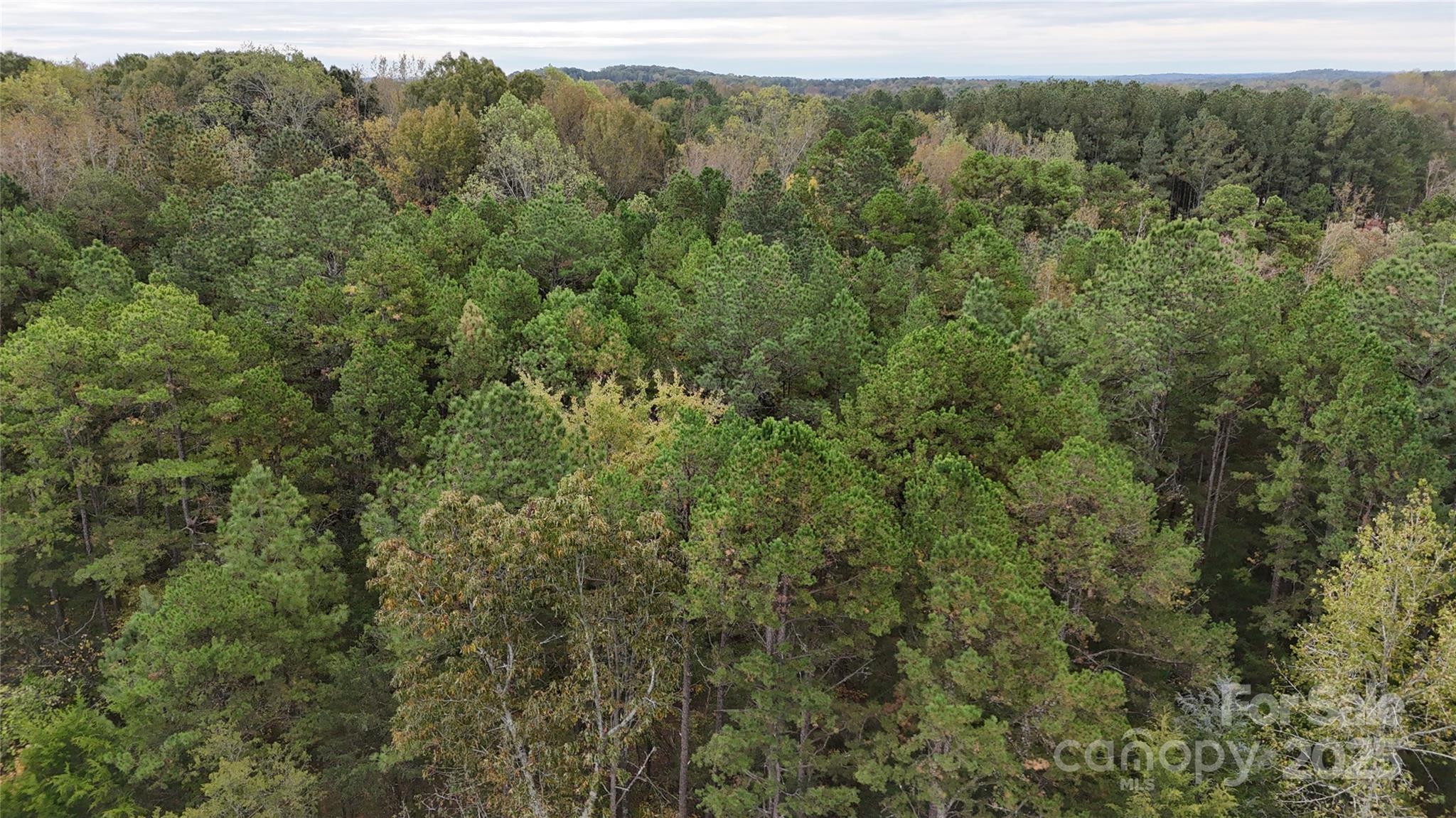 0 Trinity Church Road Property Photo 2