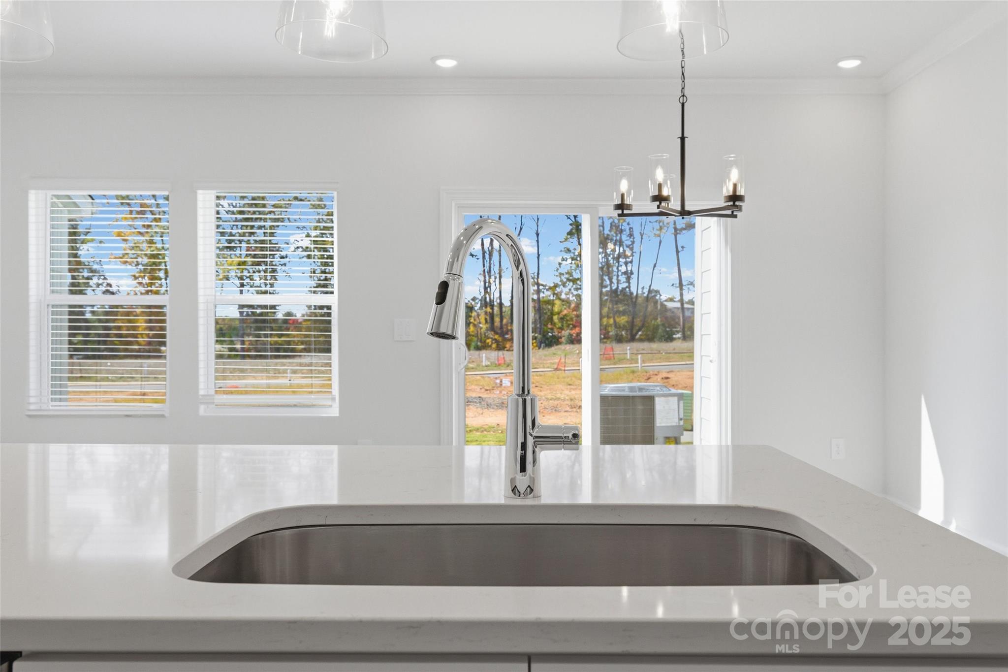 238 Tiger Lily Drive Property Photo 9