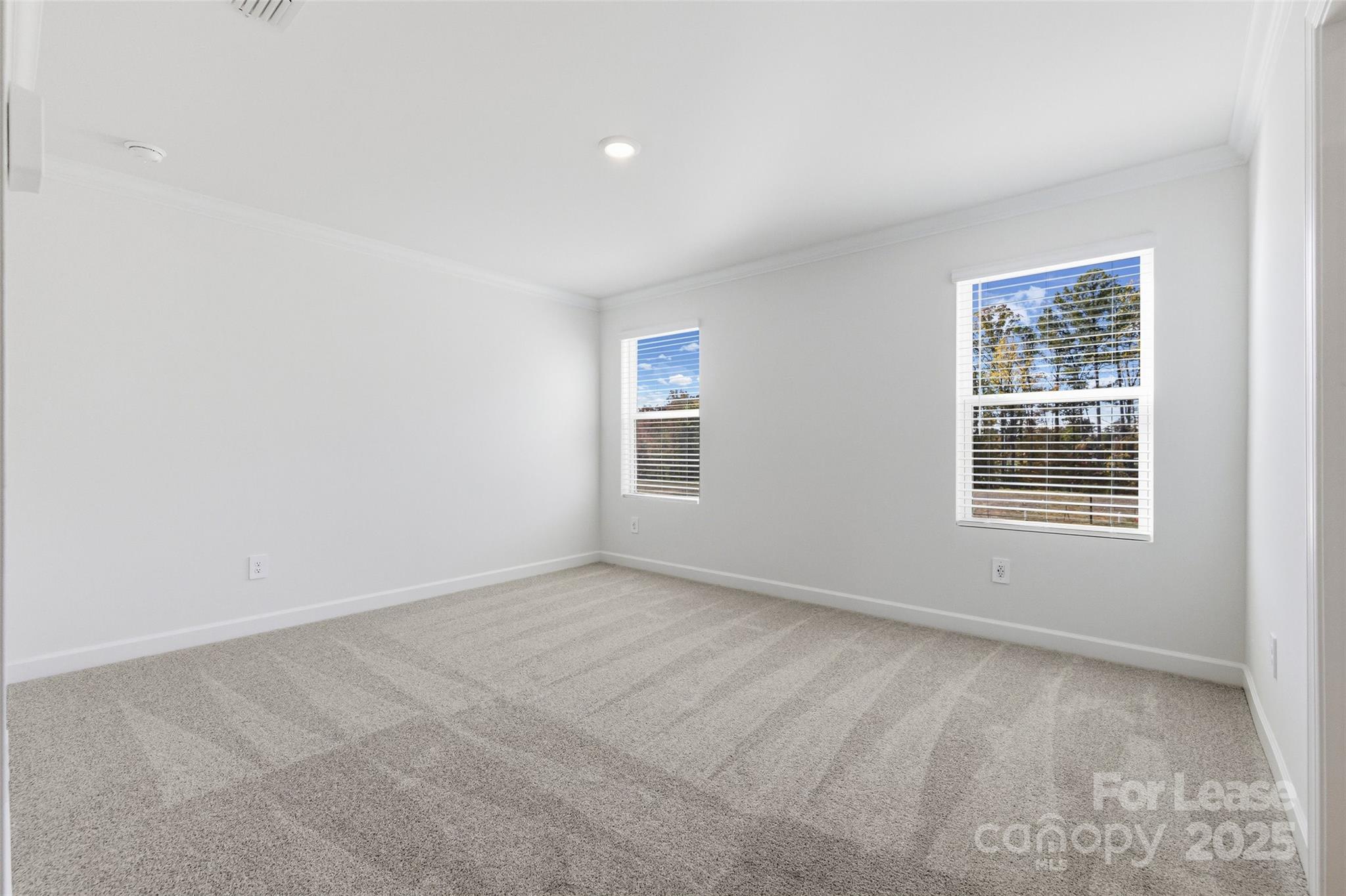 238 Tiger Lily Drive Property Photo 17