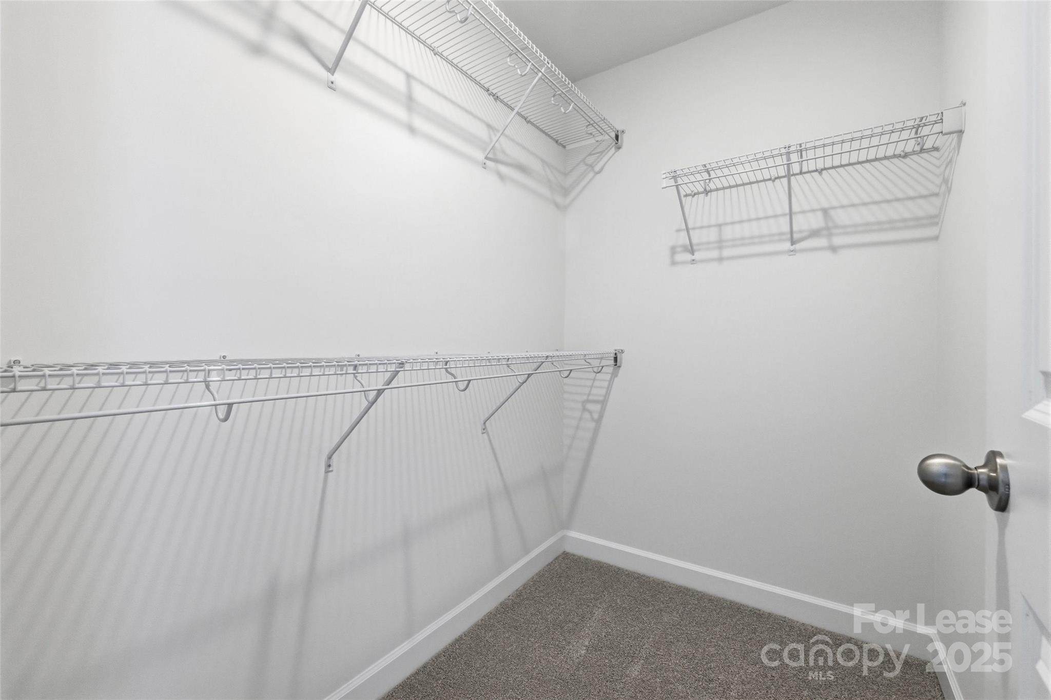 238 Tiger Lily Drive Property Photo 22