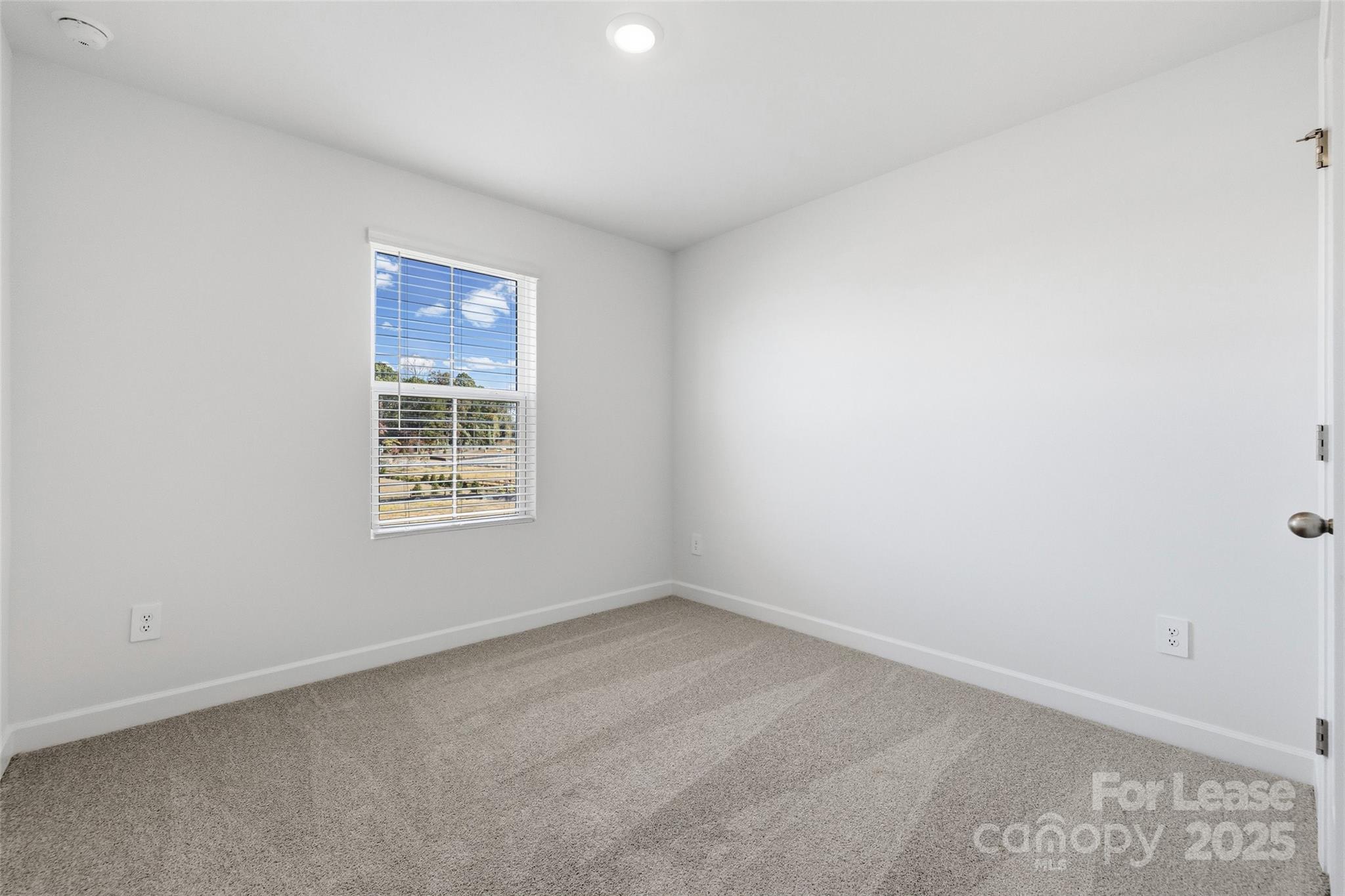 238 Tiger Lily Drive Property Photo 23