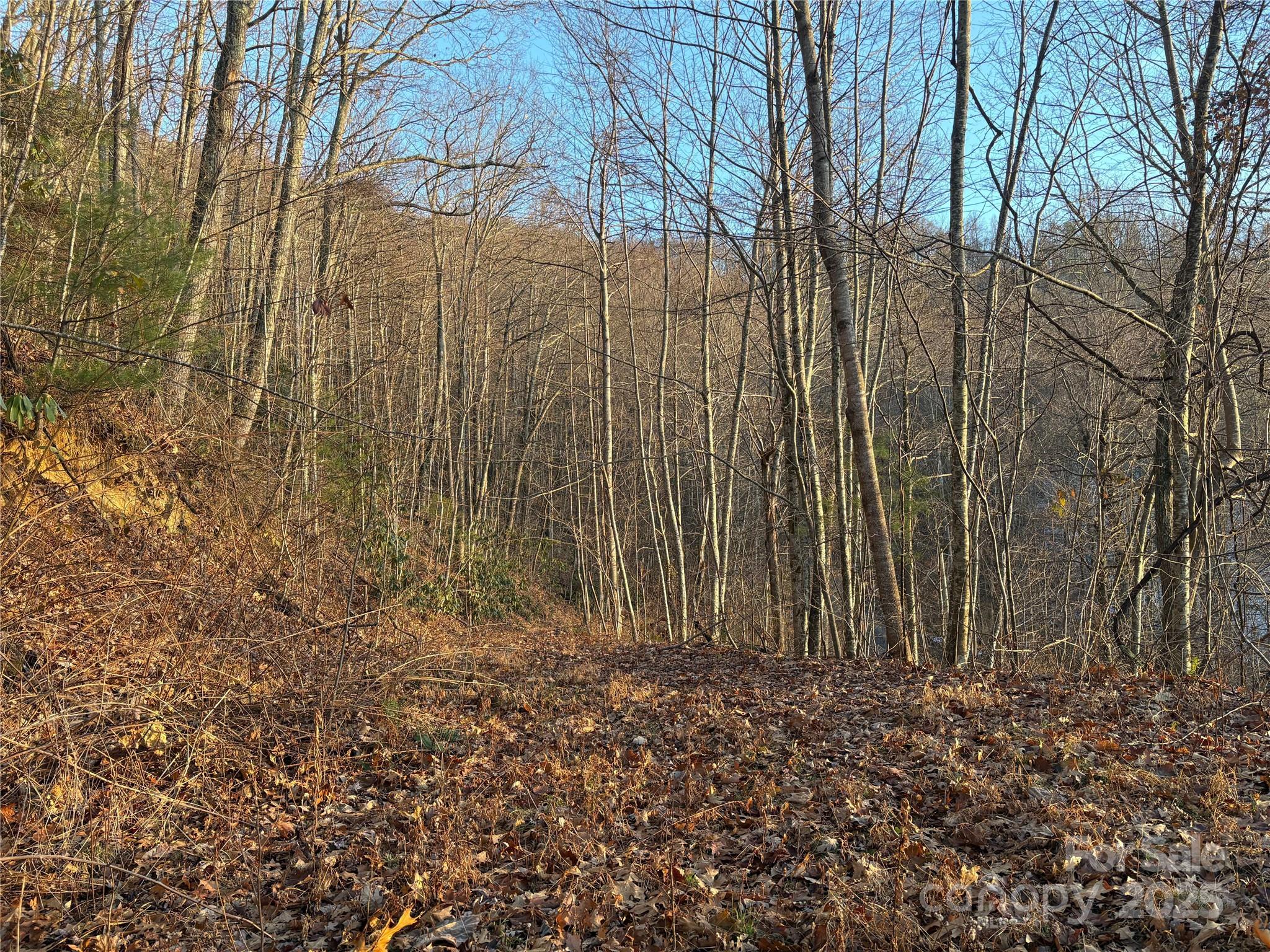 899 Hyacinth Drive Property Photo 4