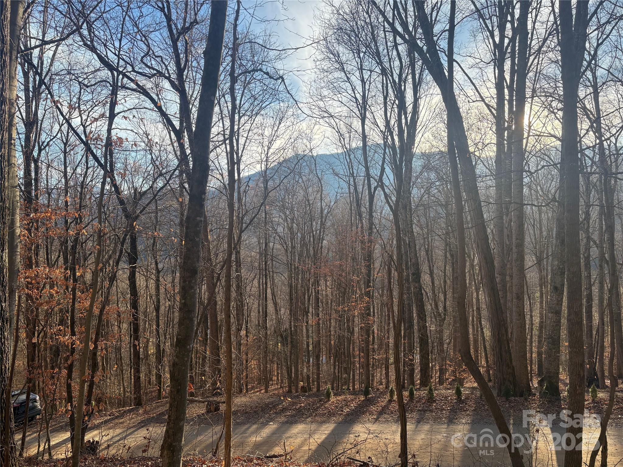 899 Hyacinth Drive Property Photo 12