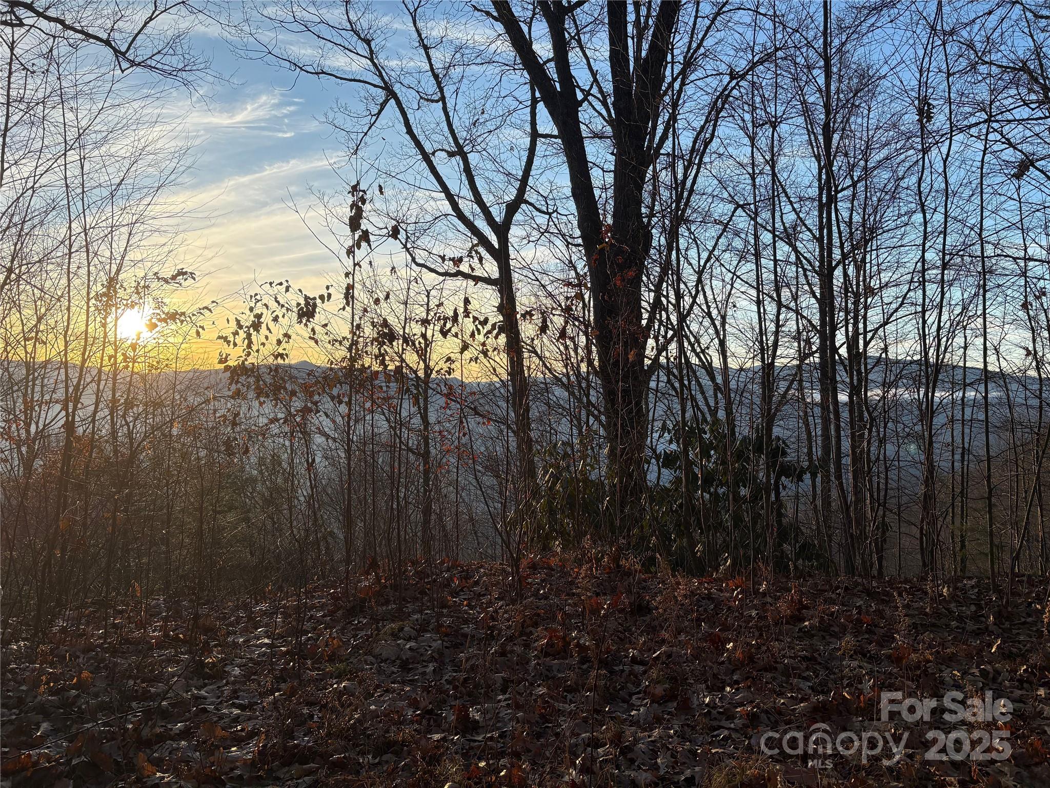 899 Hyacinth Drive Property Photo 15