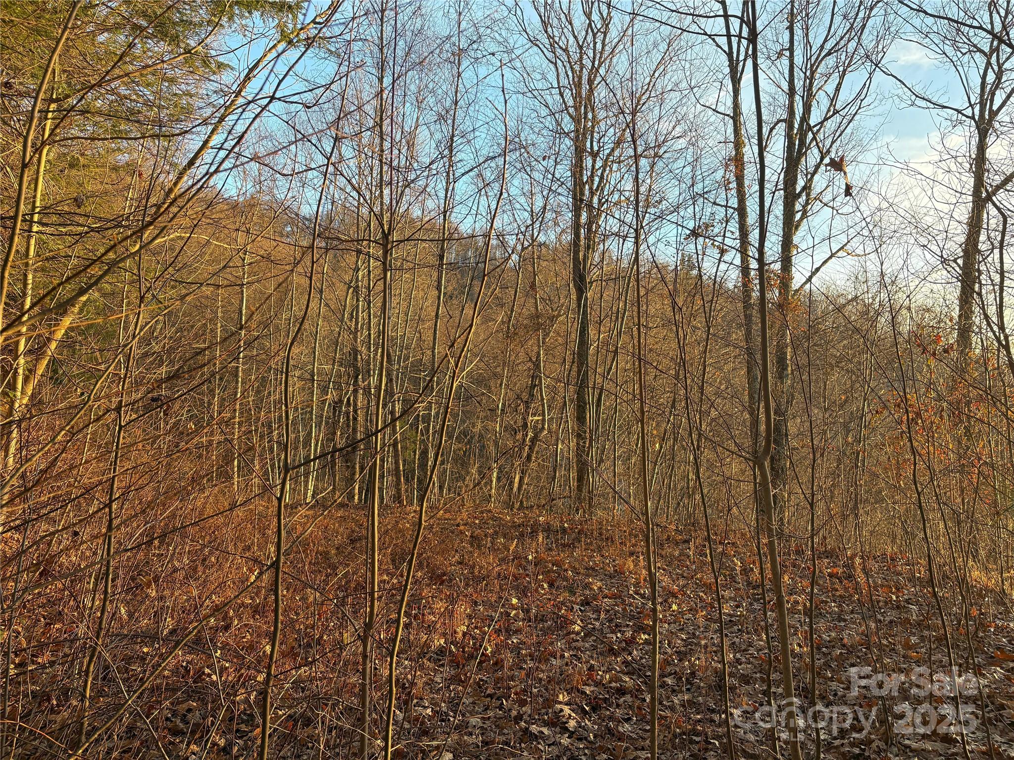 899 Hyacinth Drive Property Photo 22