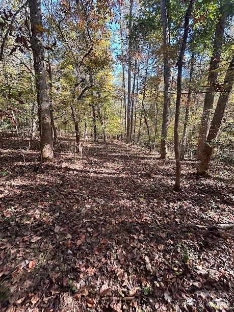 Tbd Cross Creek Drive 140 Property Photo 3