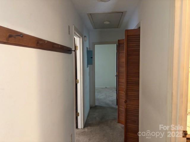 1728 Nc 109 Highway Property Photo 14