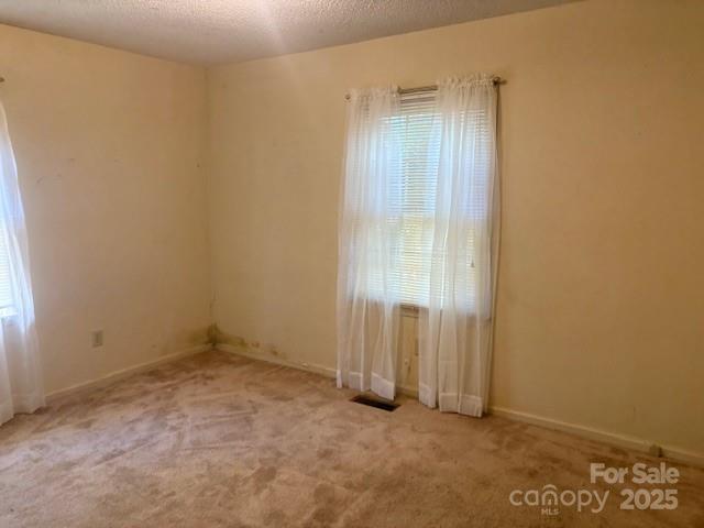 1728 Nc 109 Highway Property Photo 15
