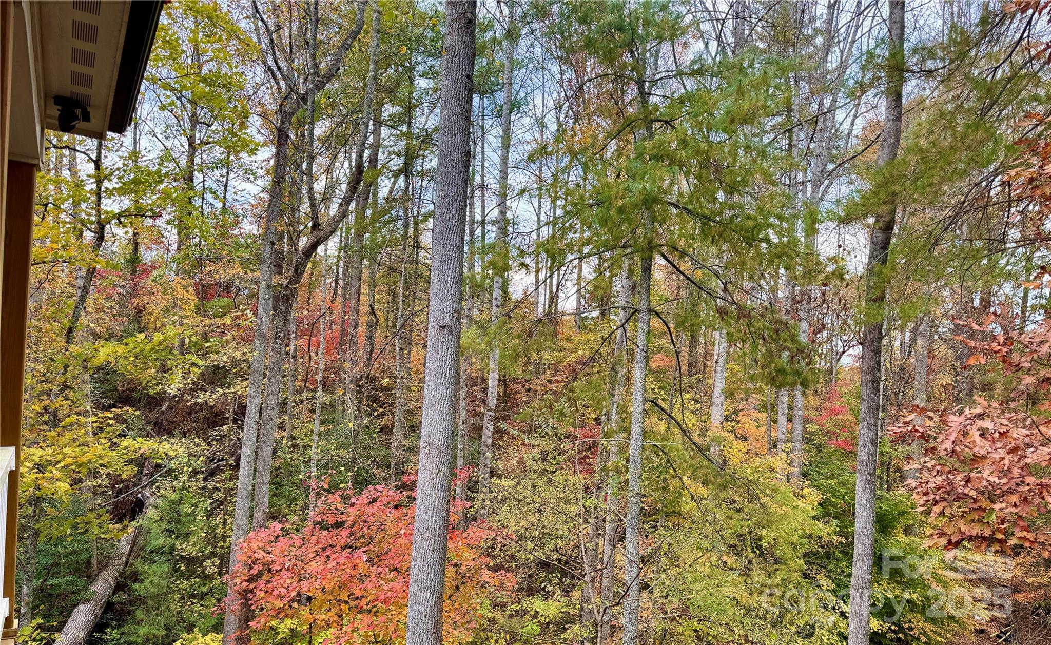 309 Sassafras Court Property Photo 21