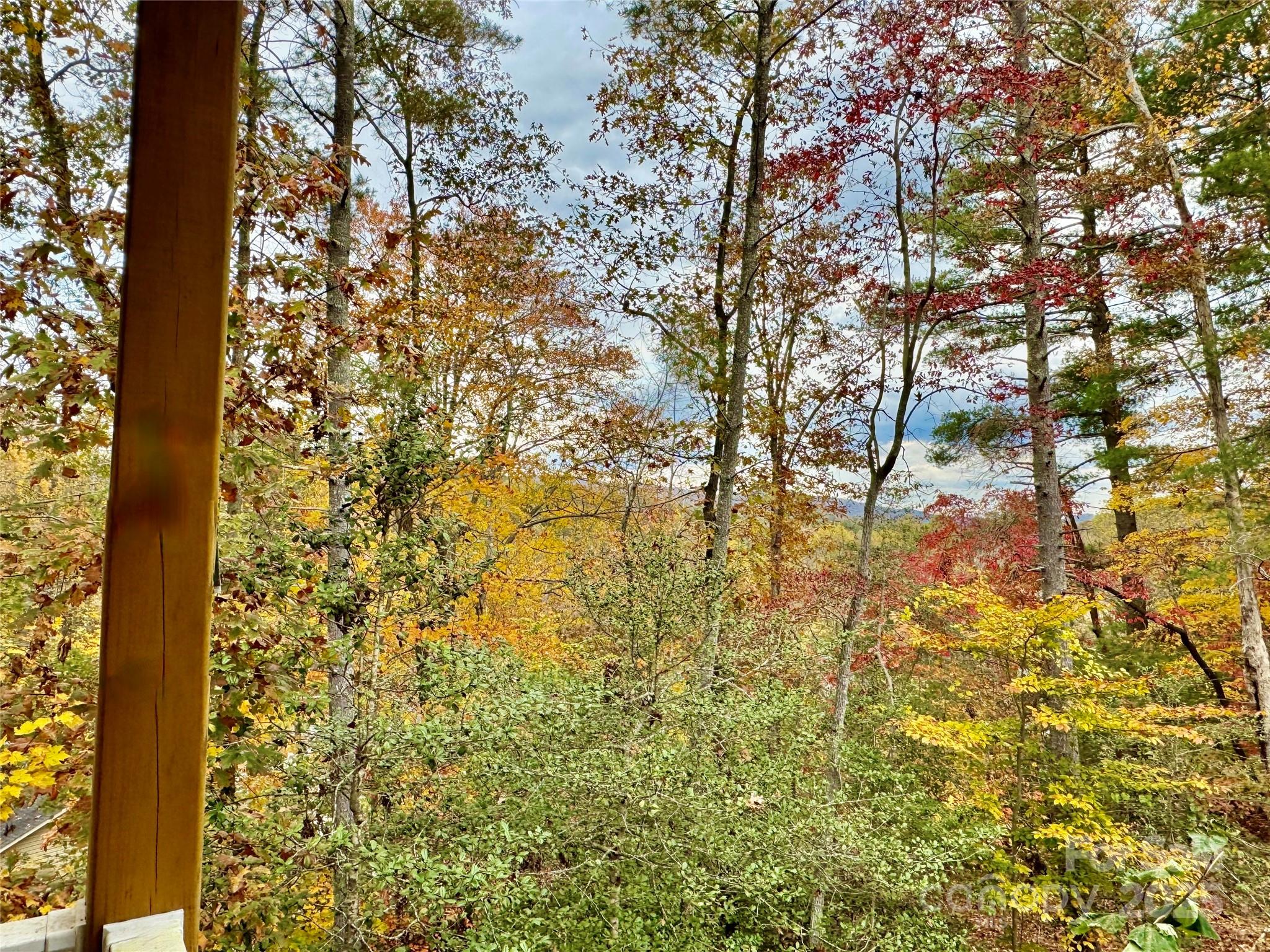 309 Sassafras Court Property Photo 22