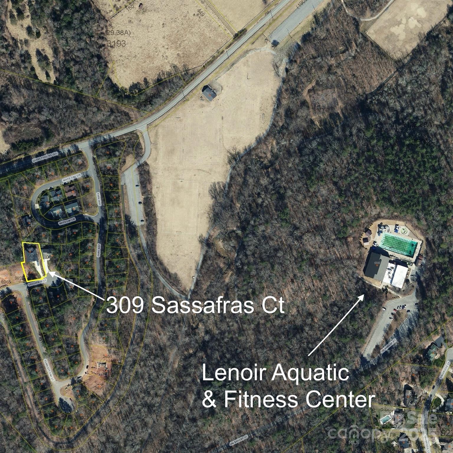 309 Sassafras Court Property Photo 37