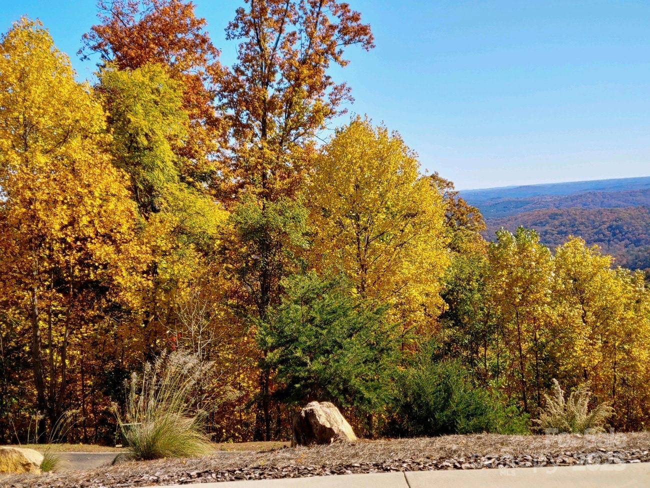 735 Bills Mountain Trail Property Photo 44