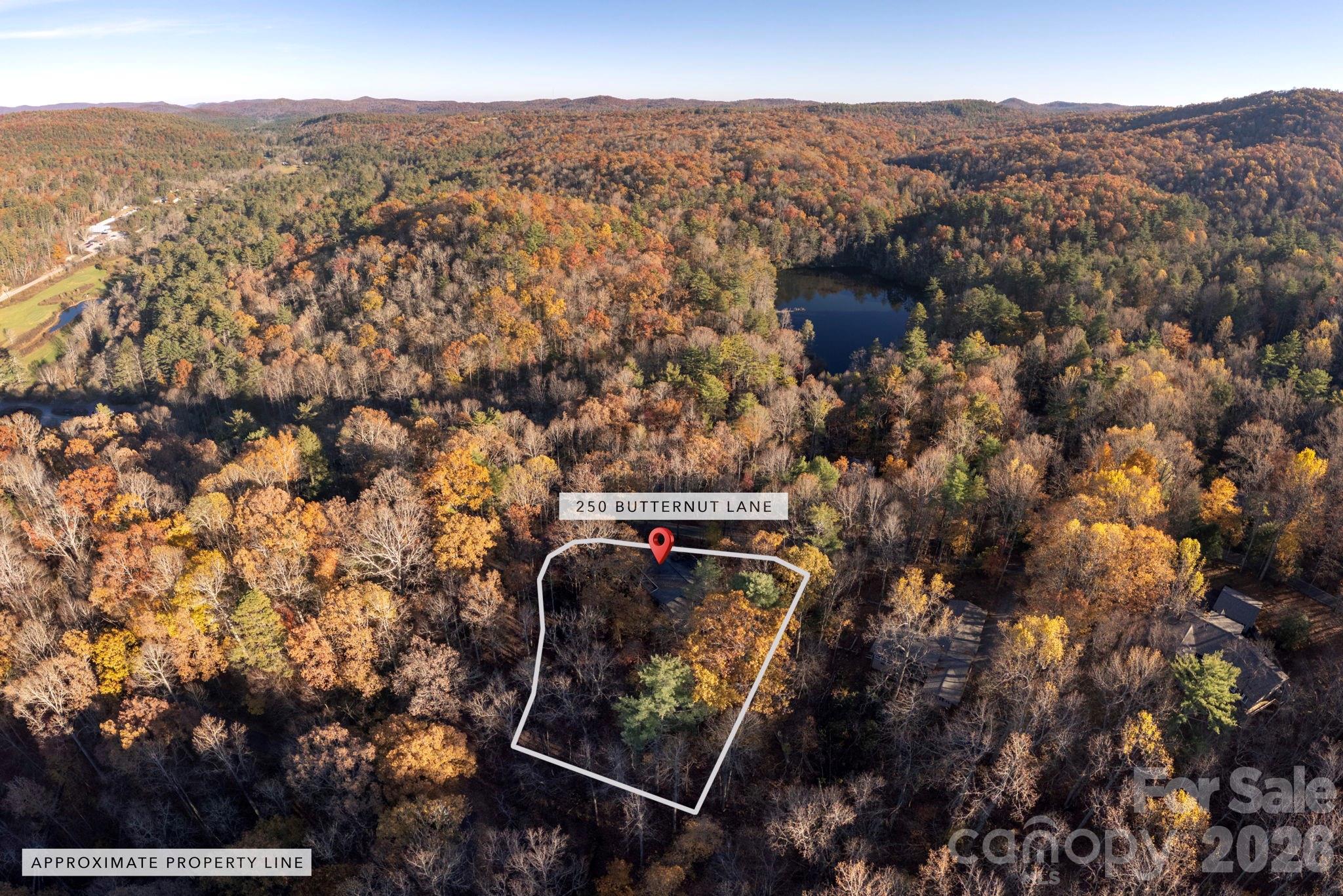 250 Butternut Lane Property Photo 41