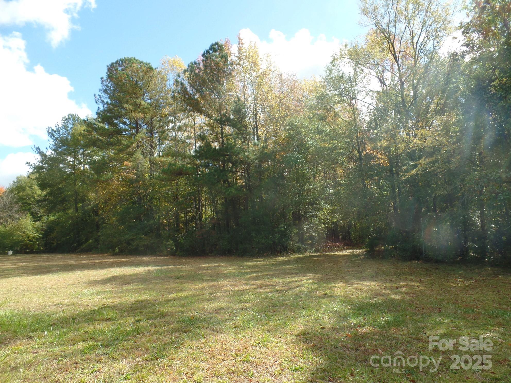 00 Mt Holly-huntersville Road Property Photo 6