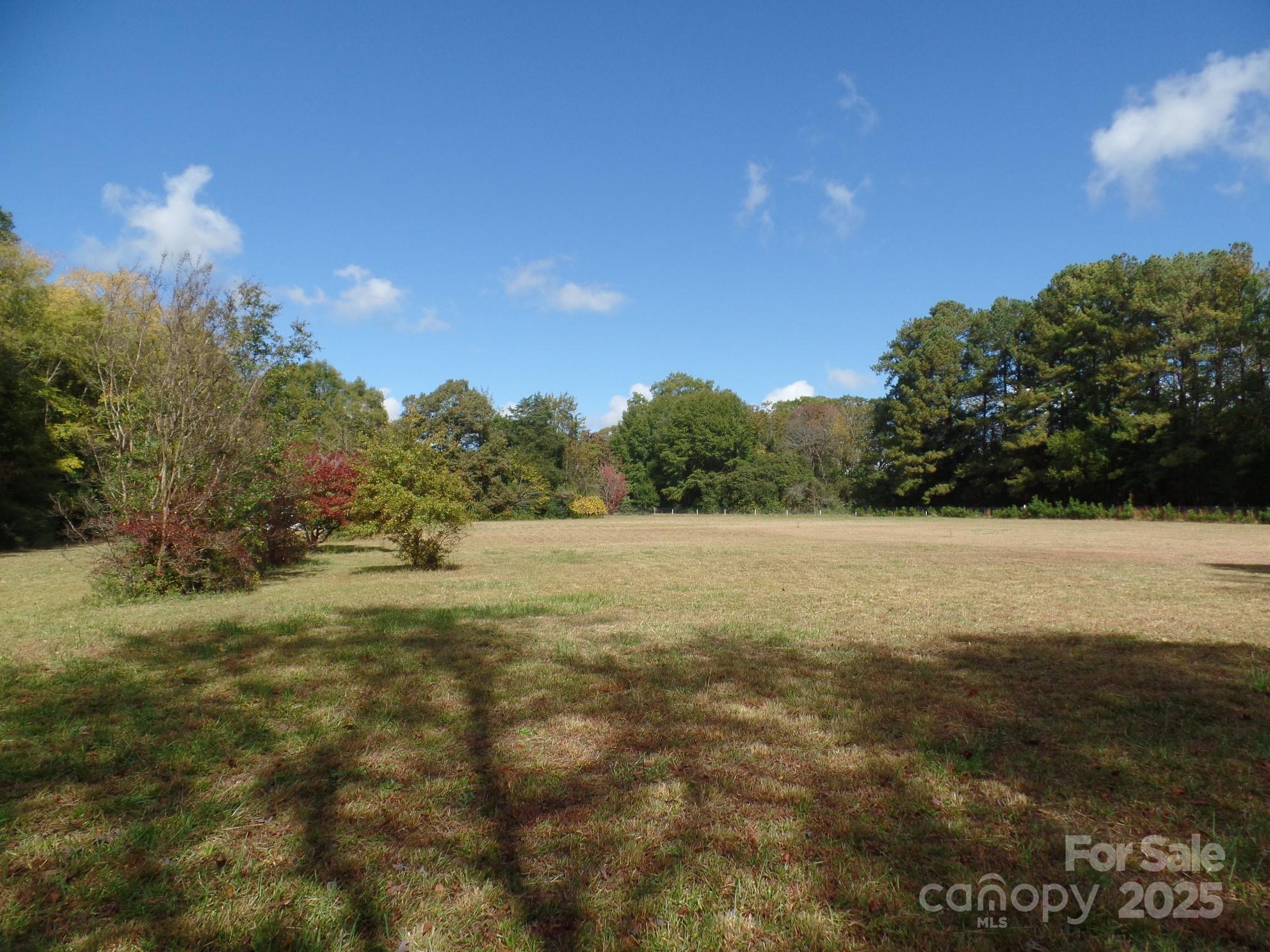 00 Mt Holly-huntersville Road Property Photo 7
