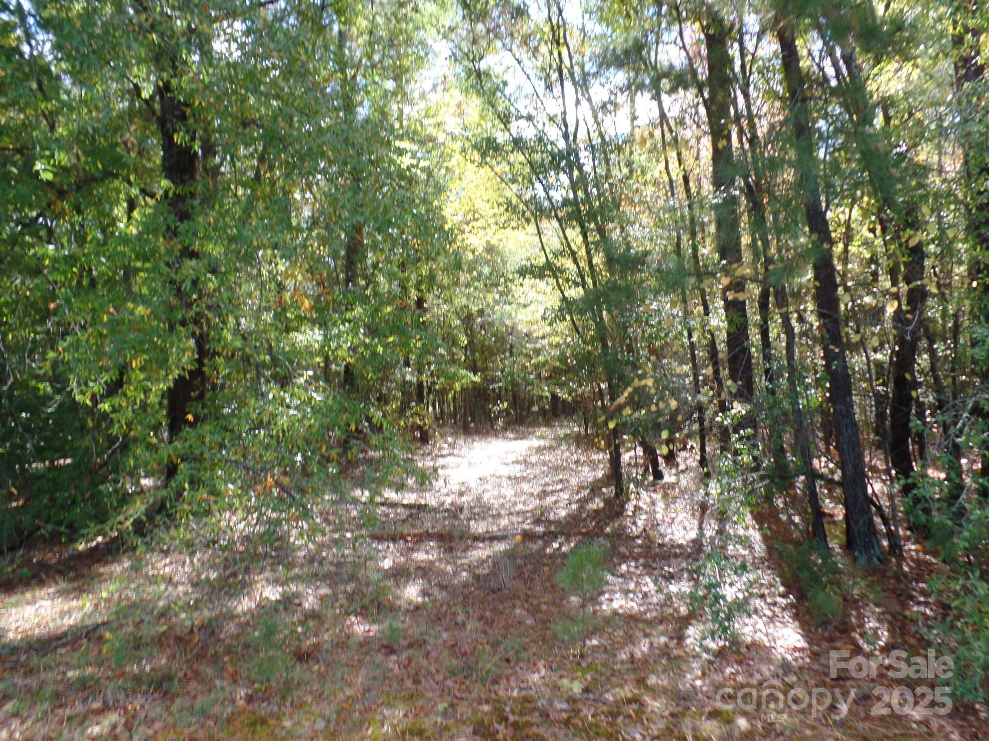 00 Mt Holly-huntersville Road Property Photo 9